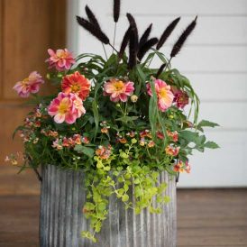 Gift Guide: Yard & Garden Gear Image